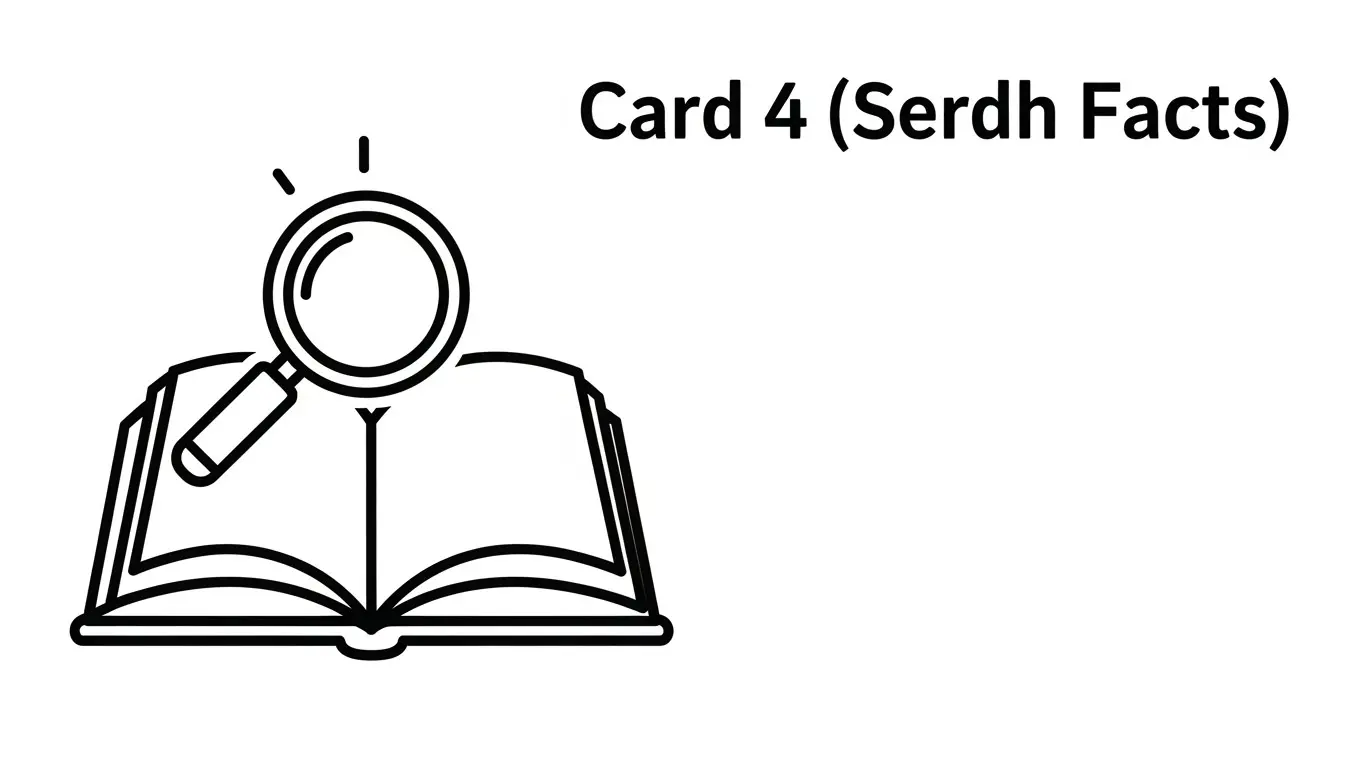 카드 한도 현금화 정보 요약 이미지