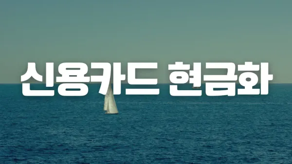 카드 한도 현금화 실제 이용 후기를 요약한 대표 이미지