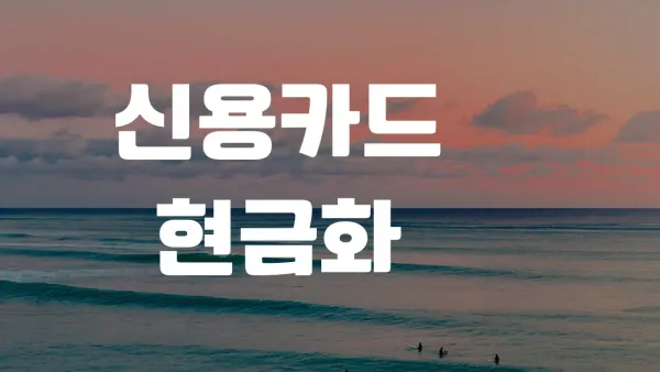 신용카드 결제 현금화 수수료 비교 후기 요약 이미지