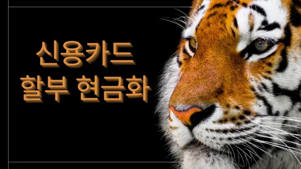 2026년 최신 신용카드할부현금화 안전 이용 및 무이자 상환 전략 가이드 썸네일